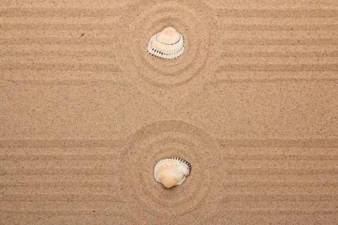 Two shell lying in the center of a circle made of sand. With space for design Foto stock