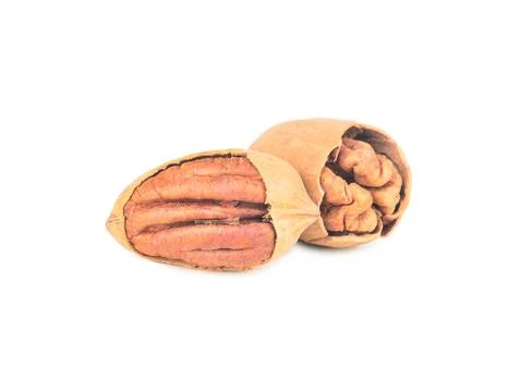 Two shelled pecans Stock Photos
