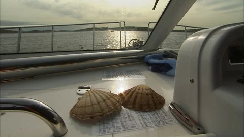 Two shells on a boat Stock Footage 86270915