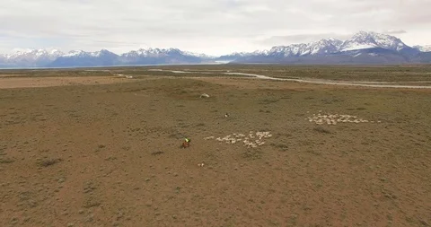 Two shepherds drive a flock of sheep along the fields of Patagonia. Argentina 스톡 동영상 121783818