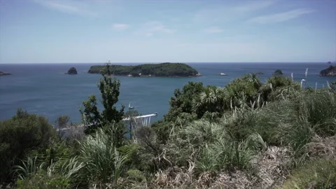Two ships cross paths at sea in new chums beach, new zealand Stock Footage 221230589
