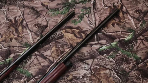Two shotguns of 16 and 12 gauge and cartridges on camouflage background Stock Footage 101004025