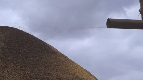 Two shots of different angles of coffee peel falling into waste hill Stock Footage 163339851