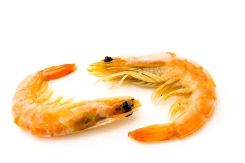 Two shrimp isolated Stock Photos