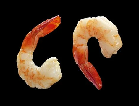Two shrimp Stock Photos