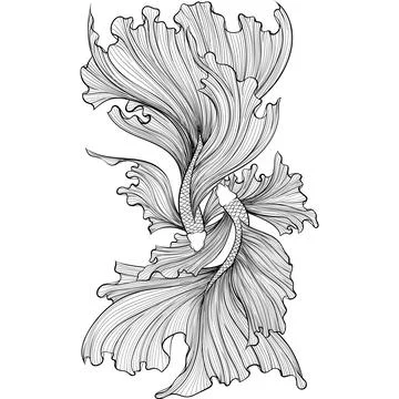 Two Siamese fighter fish line art Stock Illustration