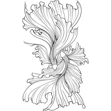 Two Siamese fighter fish line art Stock Illustration