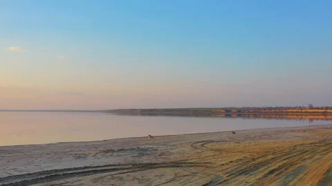 Two siberian husky dogs playing near the lake during sunset Stock Footage 106950590