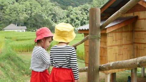 Two siblings walk hand in hand on a bamboo bridge to see the rice terraces. Stock Footage 144417826