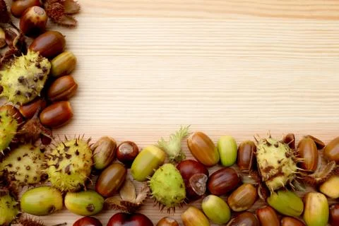 Two-sided frame of natural fall material - horse chestnuts, acorns, cobnuts a Foto stock