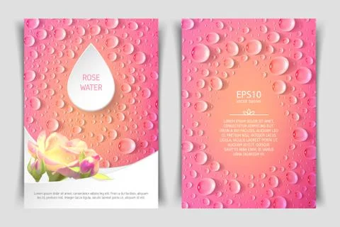 Two-sided vertical flyer of a4 format with roses and drops Illustrazione stock