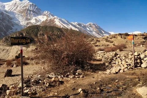 Two signposts at the junction, fork after Manang mark the trails to Thorung,  Stock Photos
