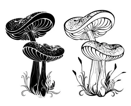 Two silhouette mushrooms Stock Illustration