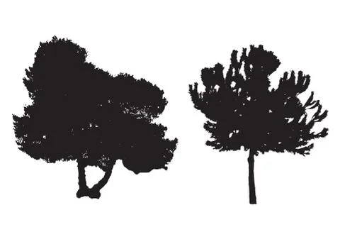 Two silhouette trees vector set Stock Illustration