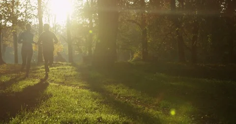 Two silhouttes of joggers running on the path on green grass in the beautiful Stock Footage 82508972
