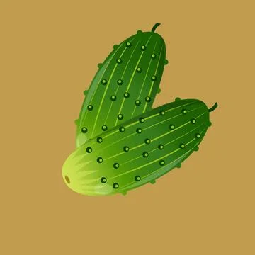 Two simple green cucumbers ilustration Stock Illustration
