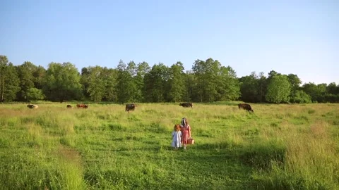 Two sisters are walking Video stock 218299856