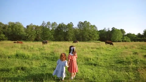 Two sisters are walking Stock Footage 218300013
