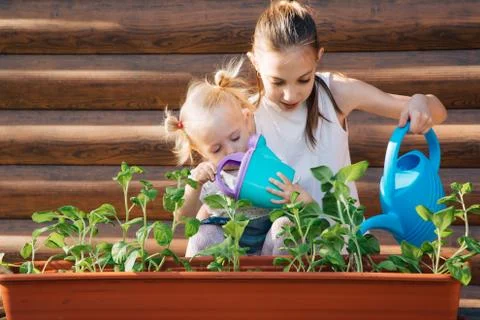 Two sisters or two girls transplant seedlings and water it Stock Photos