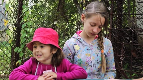 Two Sisters Play Cards Stock Footage 8659369