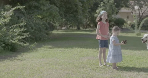 Two sisters playing with a big white dog Stock Footage 55324308