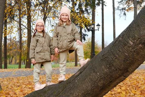 Two sisters pose for the camera on a tree in the autumn park. The sisters a.. Stock-Fotos