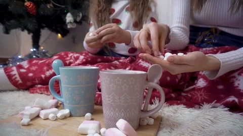 Two sisters put marshmallows in cocoa Vidéo 120706297