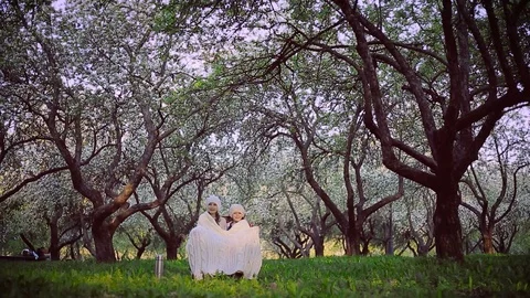Two sisters sheltered by a plaid sitting in the park Stock Footage 100163976