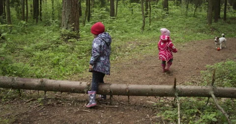 Two sisters walking amidst forest Stock Footage 134195863