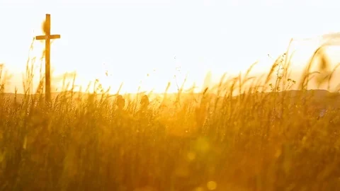 Two sisters walking in a field during sunset holding gands Stock Footage 76363659