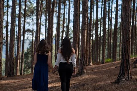 Two sisters walking through the forest pine holding hands. Stock Photos