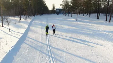 Two skiers are riding through a beautiful snow-covered forest Stock Footage 238944801