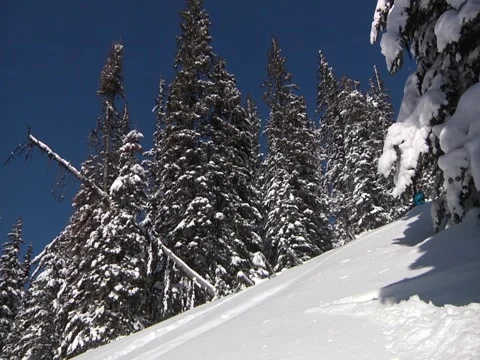 Two skiers in powder Stock Footage 6720199