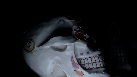 Two skulls turn toward camera in darkness Stock Footage 114086732