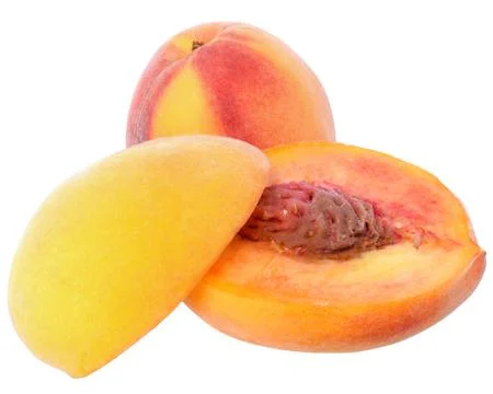 Two slice peach close up isolated Stock Photos