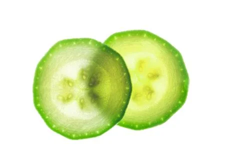 Two slice of zucchini isolated on white Two slice of zucchini isolated on ... Stock Photos