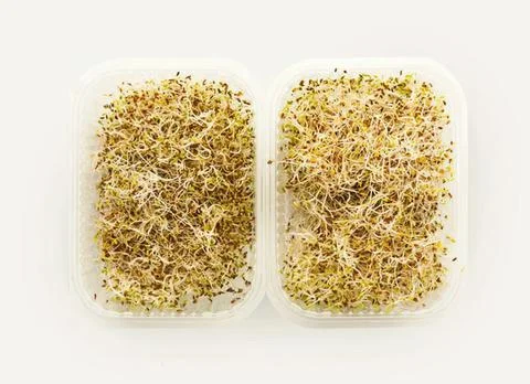 Two slices of bread with seeds on a white background Stock Photos