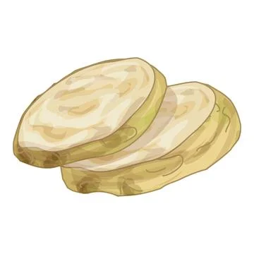 Two slices of celery root lying on top of each other Stock Illustration