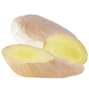 Two slices ginger root isolated on white Stock Photos