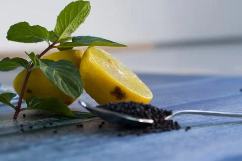Two slices of sliced lemon Stock Photos