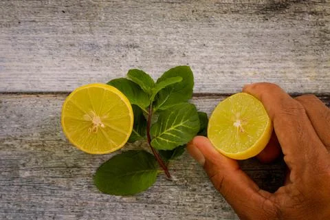 Two slices of sliced lemon Stock Photos
