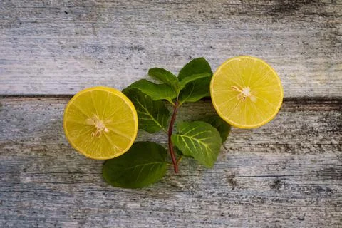 Two slices of sliced lemon Stock Photos