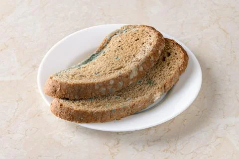 Two slices of stale rye bread with green mildew on a white plate. Foto stock