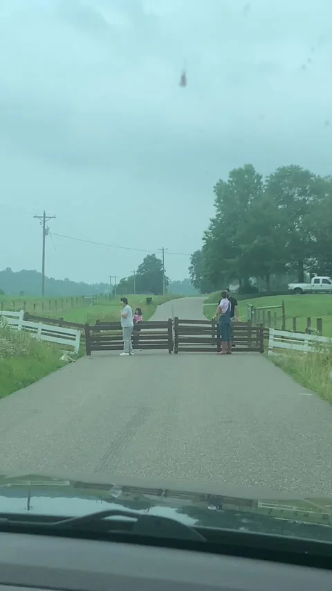 Two Slow Sheep Block Traffic, Gallipolis, Ohio, USA - 27 Jun 2023 Stock Footage 247340475