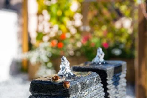 Two slugs snails taking bath on water fountain in garden area Stock Photos