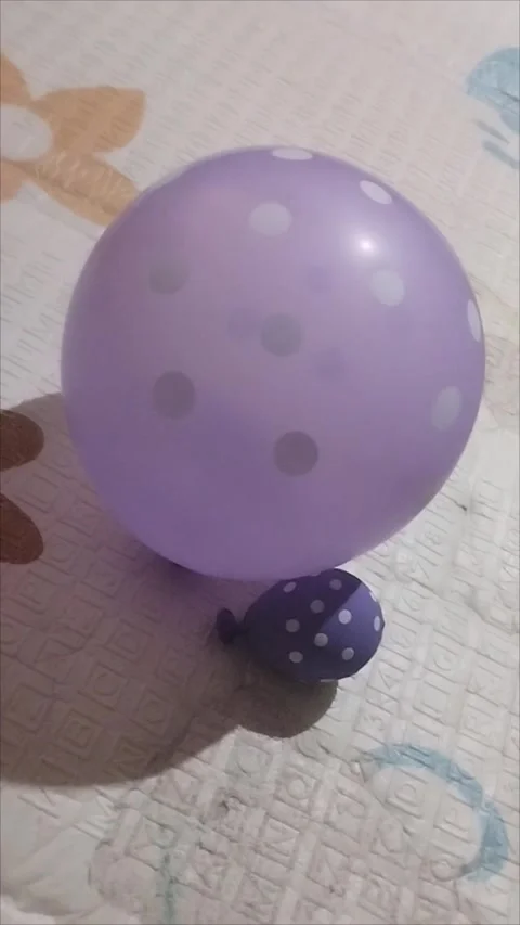 Two small and large purple balloons Stock Footage 294733728