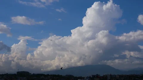 Two small birds flying by each other on a beautiful day and climate Stock Footage 258659703