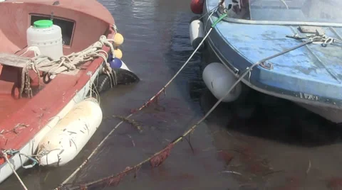 Two small boats in a harbour Stock-Footage 28815681