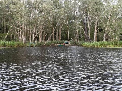 Two small boats rest in quiet water beside dense trees and reeds Stock Photos