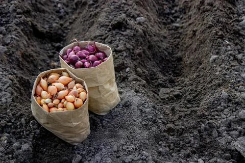 Two small bowls filled with nuts on dark textured surface Stock Photos